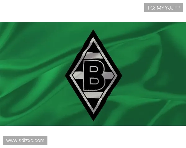 莱茵河畔的德甲球队名单及地理分布