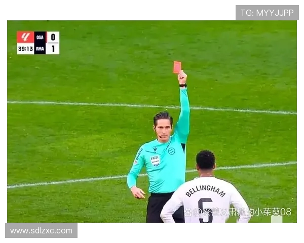 西甲联赛引进视频裁判技术后的变化与影响